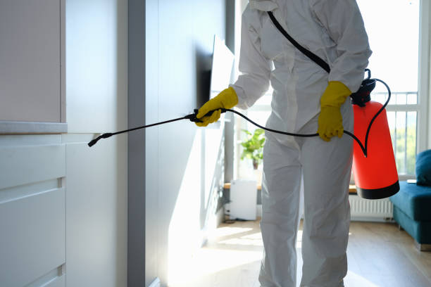 Best Best Mold Removal Companies  in Evansville, WI